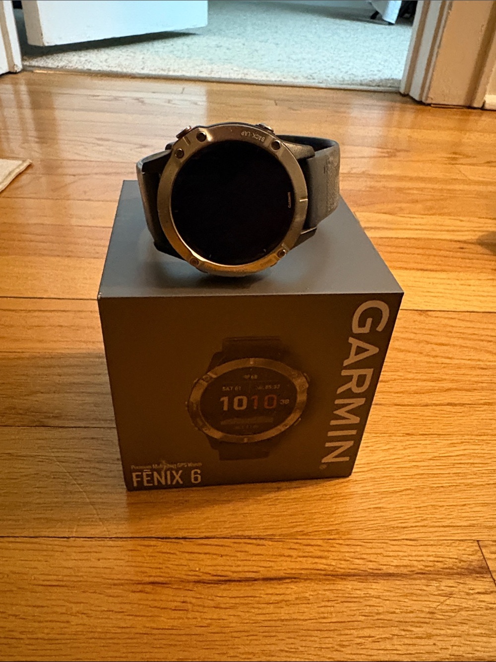 garmin Fenix 6 Smartwatch - Gray and Black